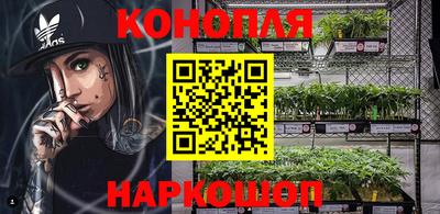 шишки Волгодонск