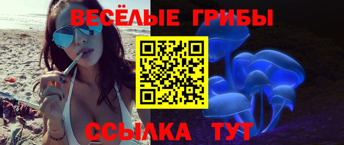 Кинешма  Псилоцибиновые грибы мицелий  Вход с VPN 