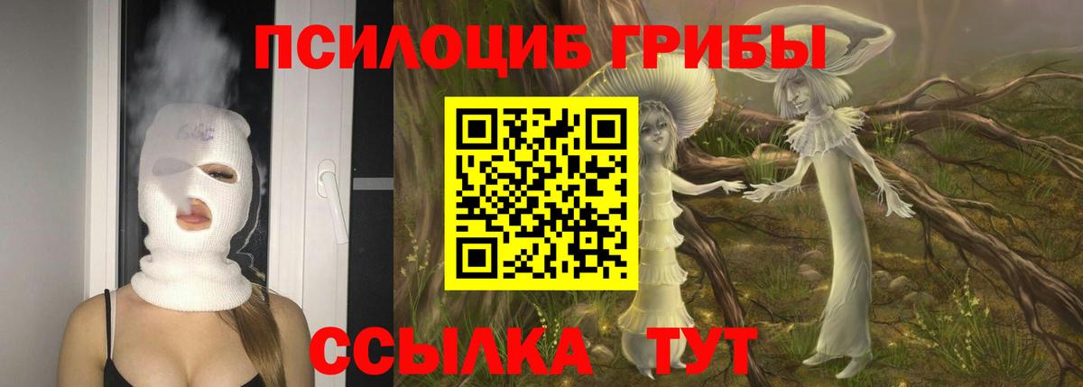 Галлюциногенные грибы MAGIC MUSHROOMS Кинешма